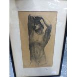 AFTER JOHN. A MALE TORSO, PRINT. 38 x 22cms.