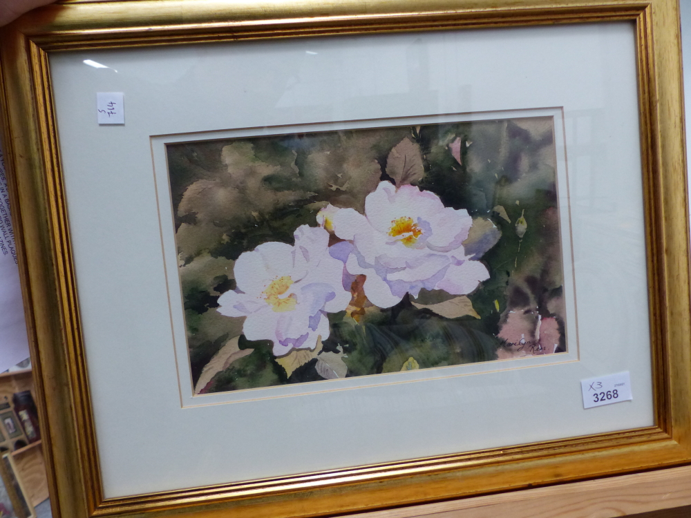 MARILYN REES (CONTEMPORARY). ARR. TWO FLOWER STUDIES, SIGNED WATERCOLOURS. LARGEST 34 x 25cms. - Bild 2 aus 6