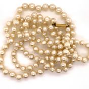 AN OPERA LENGTH ROW OF GRADUATED AND KNOTTED CULTURED PEARLS. COMPLETE WITH A PRECIOUS YELLOW