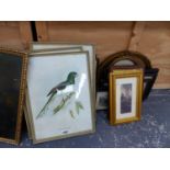 VARIOUS ANTIQUE AND LATER TOPOGRAPHICAL PRINTS. TOGETHER WITH CARICATURES, BIRDS, ETC