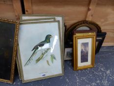 VARIOUS ANTIQUE AND LATER TOPOGRAPHICAL PRINTS. TOGETHER WITH CARICATURES, BIRDS, ETC