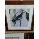 FOUR DECORATIVE PICTURES OF BIRDS, IN MAHOGANY FRAMES (4)