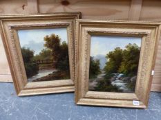 19th/20th.C. ENGLISH SCHOOL. PAIR OF WOODED RIVER VIEWS, OIL ON BOARD, 30 x 25cms (2).