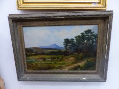 A. MAXWELL (EARLY 20th.C. ENGLISH SCHOOL). A WOODED LANDSCAPE, SIGNED, OIL ON CANVAS, 41 x 62cms.