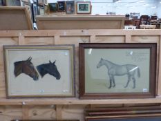 BASIL NIGHTINGALE (1864-1940). PORTRAIT OF A HORSE, SIGNED AND INSCRIBED, CHARCOAL DRAWING, 37 x