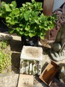 A BLACK PLANTER AND A STONE CAPITAL