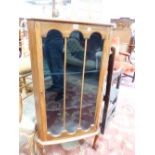 A GLAZED MAHOGANY CORNER CABINET, THE THREE PANELLED DOOR OVER THREE SHELVES AND CABRIOLE LEGS ON