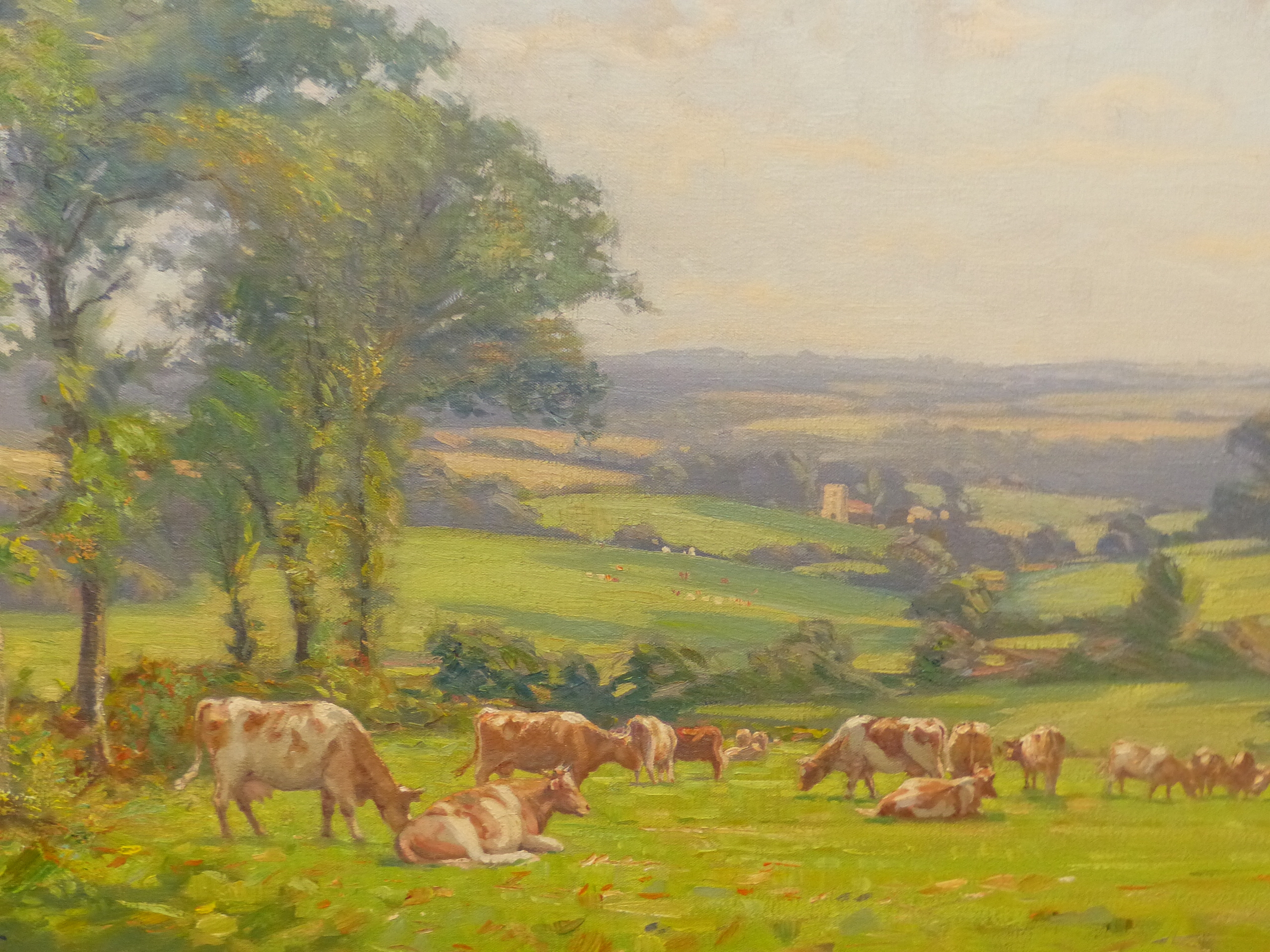 A.W ENNESS (1876-1948) CATTLE IN A MEADOW, SIGNED OIL ON CANVAS 67 x 82cm