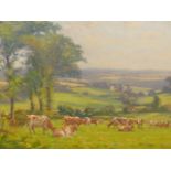 A.W ENNESS (1876-1948) CATTLE IN A MEADOW, SIGNED OIL ON CANVAS 67 x 82cm