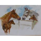 •M GEAR (1898 - 1987). ARR. HORSE PORTRAITS, SIGNED, OIL ON CANVAS BOARD. 29 x 39cms.