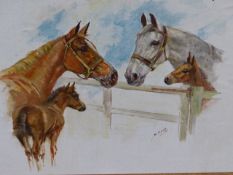 •M GEAR (1898 - 1987). ARR. HORSE PORTRAITS, SIGNED, OIL ON CANVAS BOARD. 29 x 39cms.