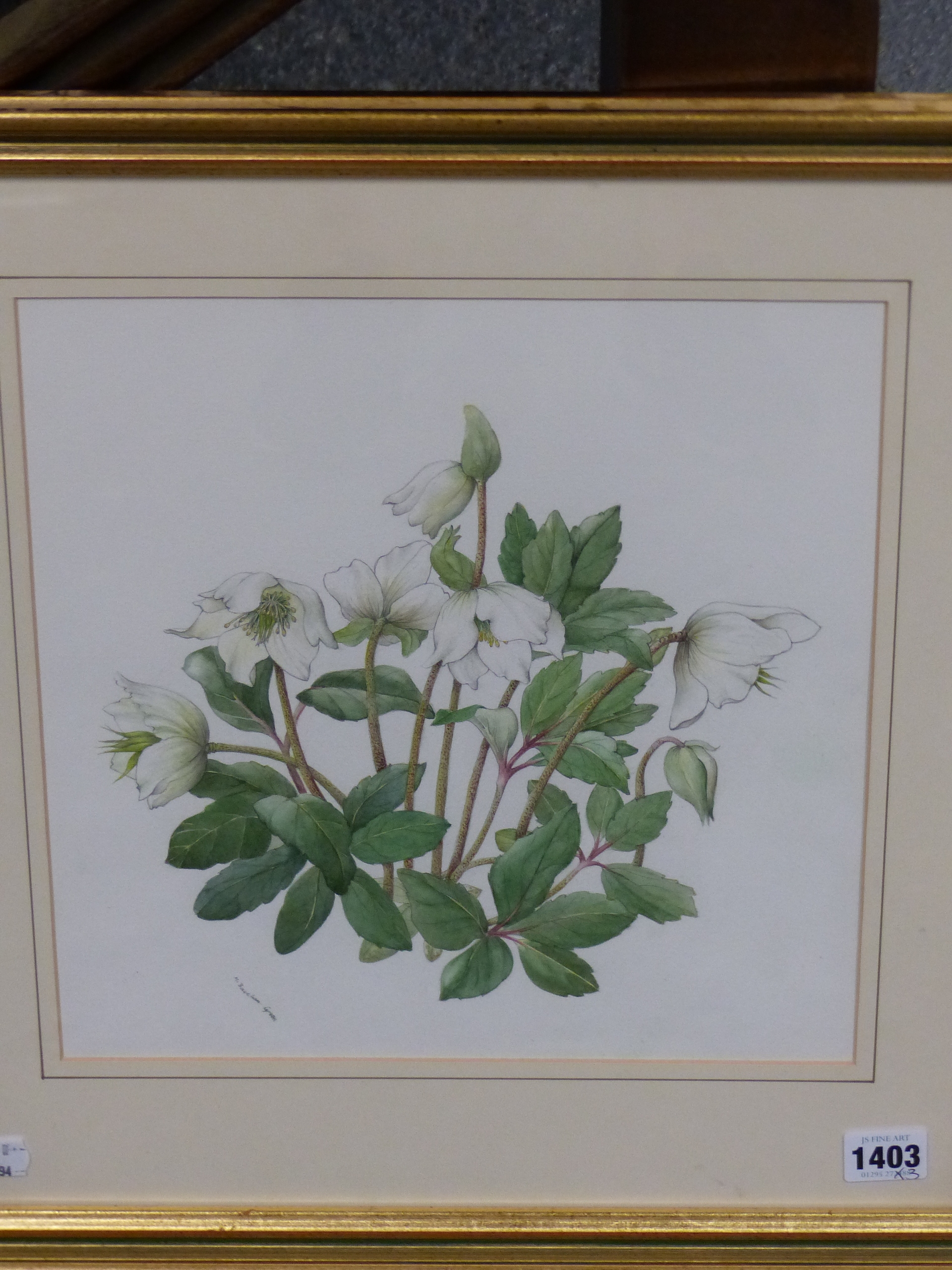 •M BARCHAM GREEN (20th CENTURY SCHOOL). ARR. THREE BOTANICAL STUDIES, ALL SIGNED WATERCOLOURS, SIZES - Image 5 of 5