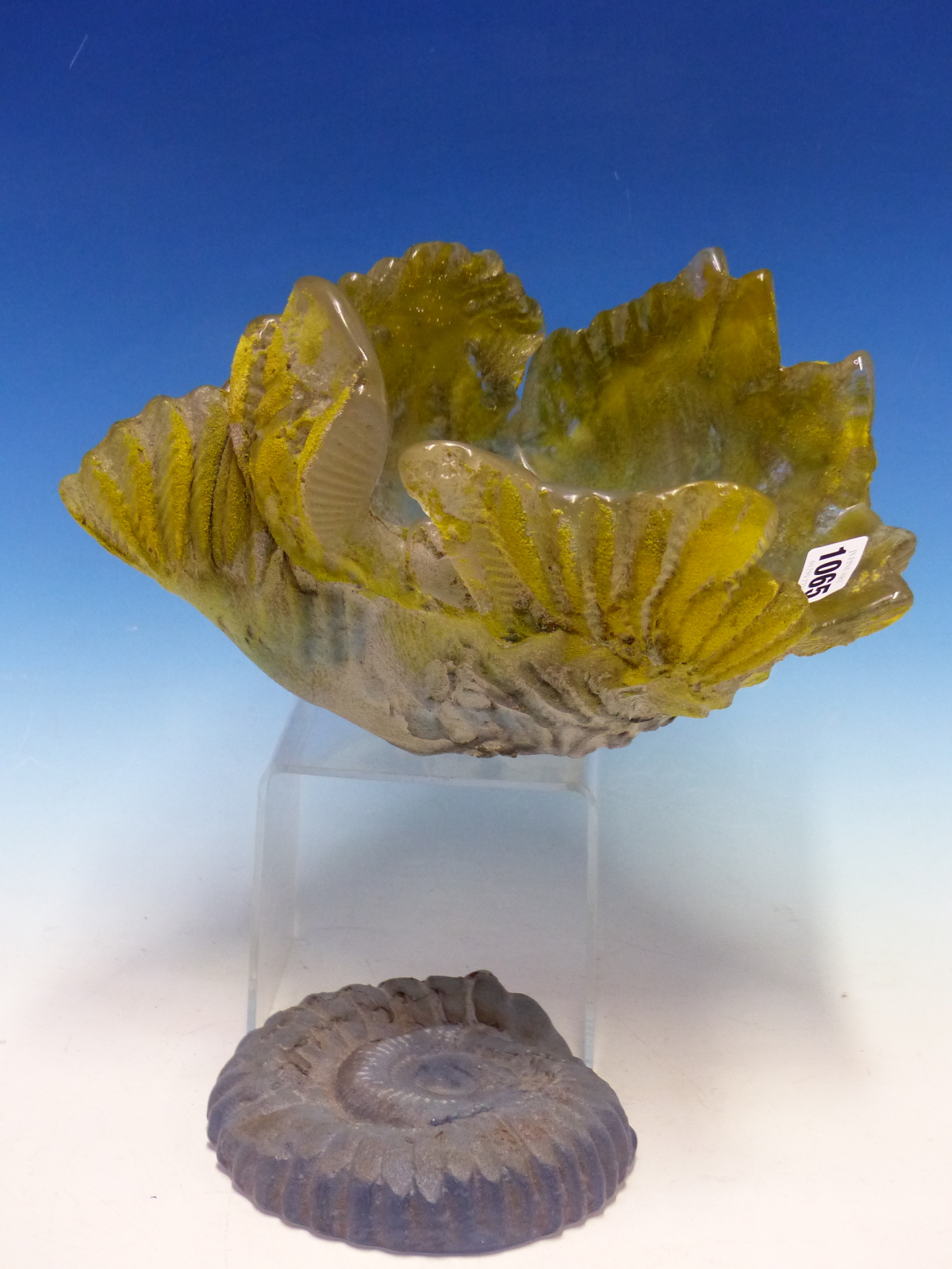 AMANDA BRISBANE (1964-2016), TWO GLASS SCULPTURES, A BOWL OF SHELL FORM TINTED GREEN YELLOW AND BLUE - Image 6 of 6