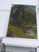 CONTEMPORARY SCHOOL A WOODLAND POND, OIL ON CANVAS, UNFRAMED 122 x 87cm