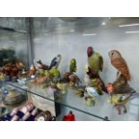 A LARGE COLLECTION OF BIRD FIGURES TO INCLUDE BESWICK,TWO PETER THOMSON SCOTCH WHISKY ADVERTISING