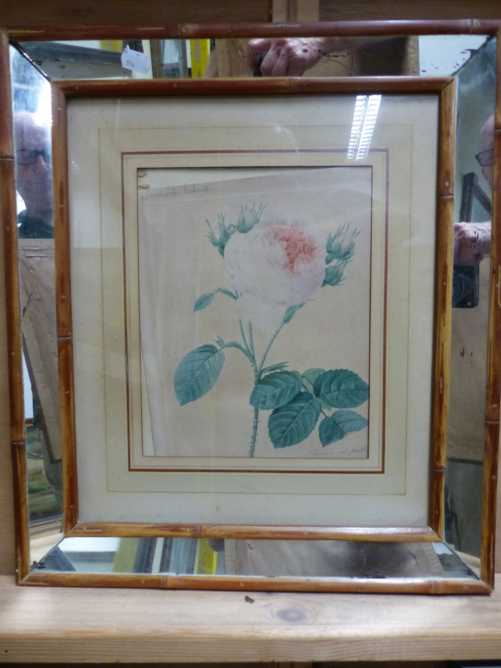 AFTER P.J REDOUTE. THREE ANTIQUE HAND COLOURED PRINTS OF ROSES IN BESPOKE MIRRORED FRAMES, IMAGE - Image 3 of 3