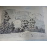 A 19th C. ALBUM OF NINETEEN BOTANICAL WATERCOLOURS