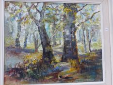 CONTEMPORARY SCHOOL, A WOODLAND SCENE, OIL ON BOARD 50 x 61cm