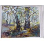 CONTEMPORARY SCHOOL, A WOODLAND SCENE, OIL ON BOARD 50 x 61cm