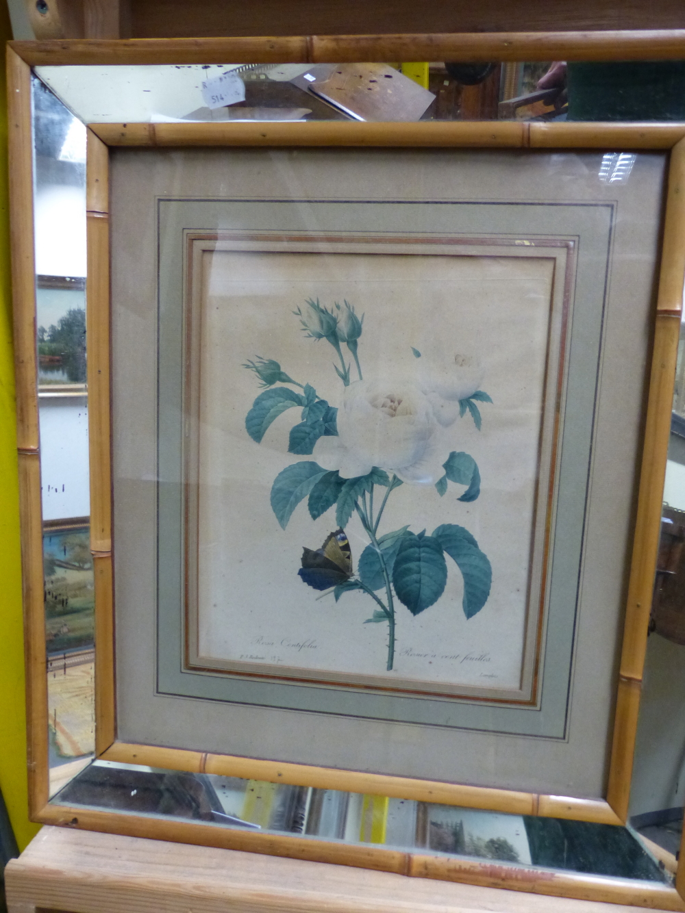 AFTER P.J REDOUTE. THREE ANTIQUE HAND COLOURED PRINTS OF ROSES IN BESPOKE MIRRORED FRAMES, IMAGE - Image 2 of 3