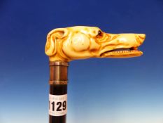 AN EBONY WALKING STICK WITH IRISH SILVER BAND AND IVORY GLASS EYED GREYHOUND HEAD HANDLE