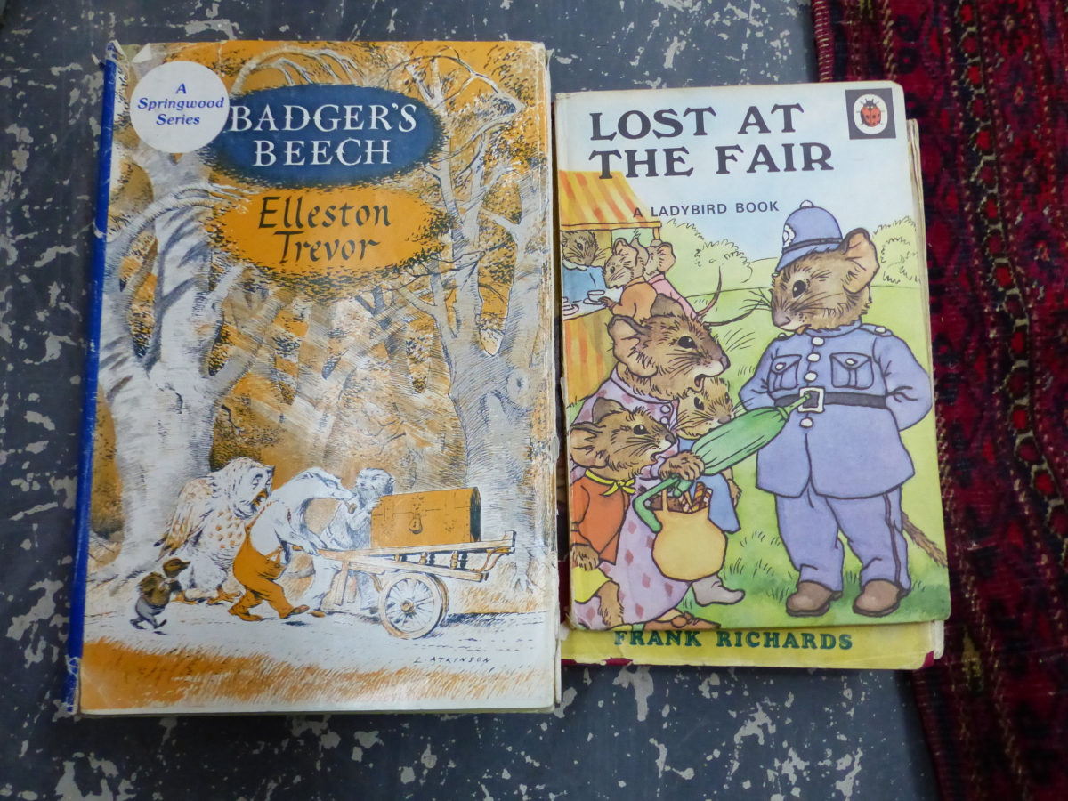 2 BOXES OF VINTAGE CHILDRENS BOOKS - Image 3 of 9