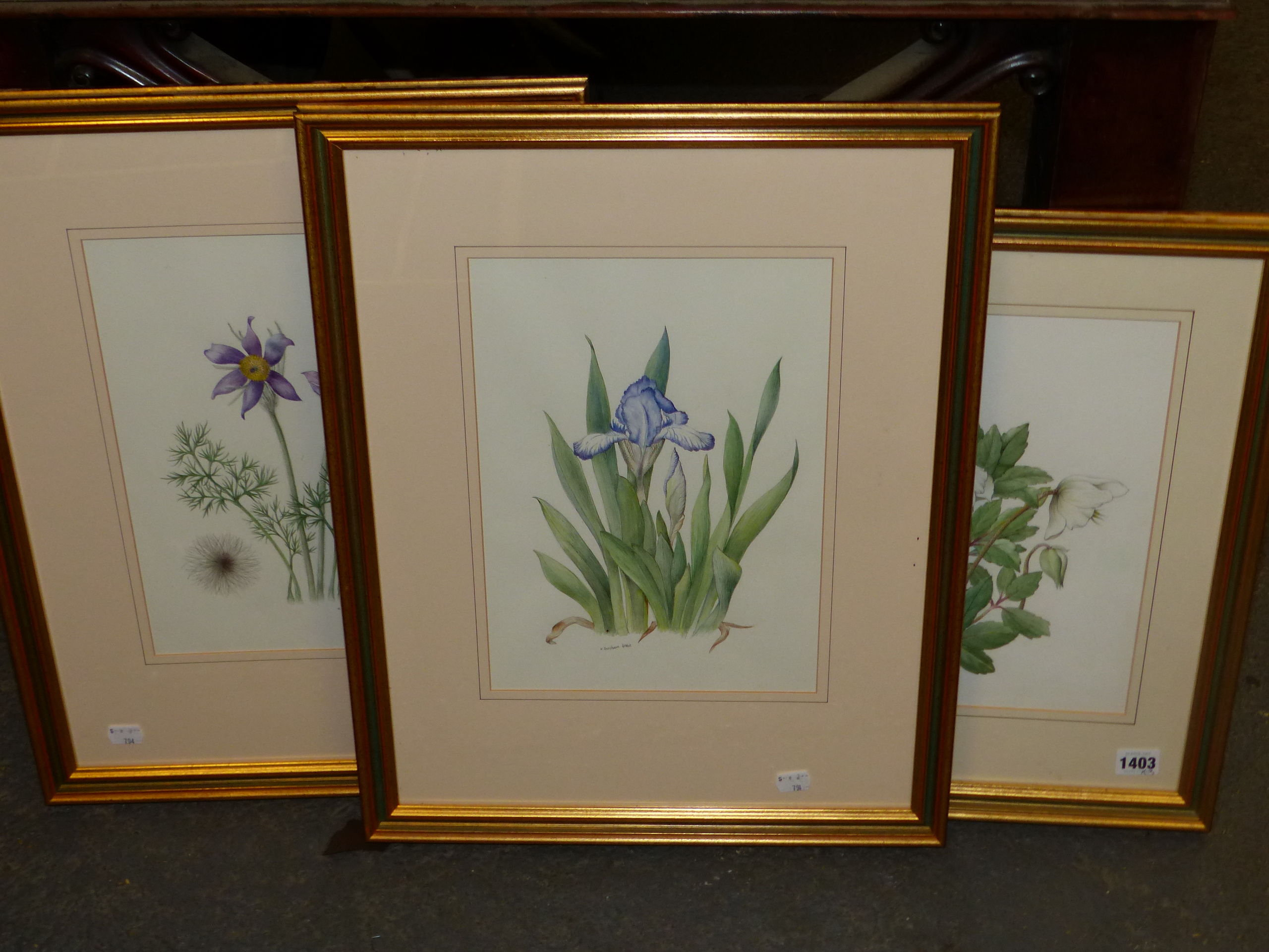 •M BARCHAM GREEN (20th CENTURY SCHOOL). ARR. THREE BOTANICAL STUDIES, ALL SIGNED WATERCOLOURS, SIZES - Image 3 of 5