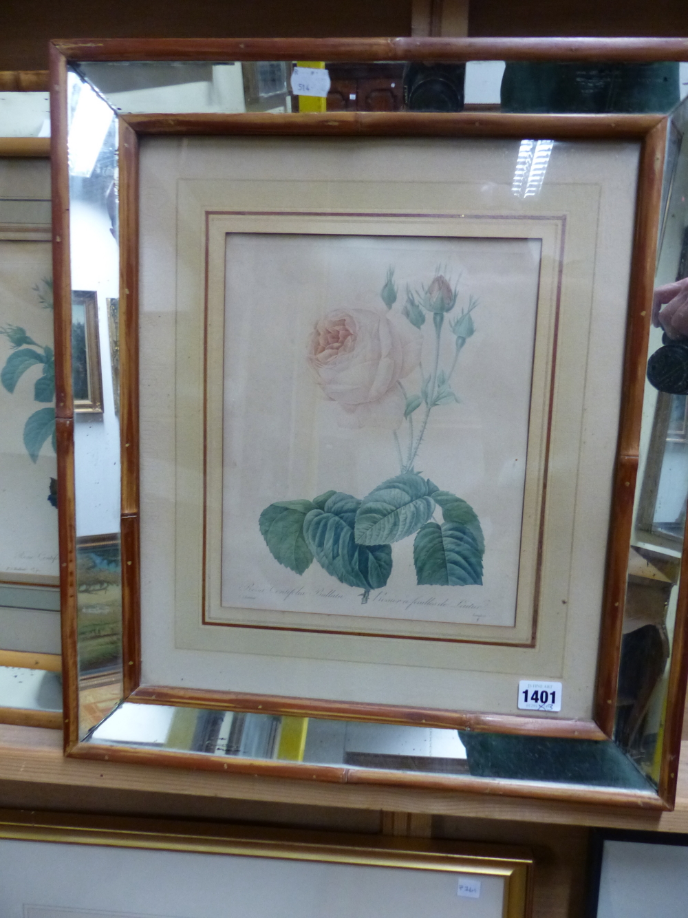 AFTER P.J REDOUTE. THREE ANTIQUE HAND COLOURED PRINTS OF ROSES IN BESPOKE MIRRORED FRAMES, IMAGE