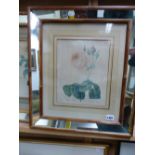 AFTER P.J REDOUTE. THREE ANTIQUE HAND COLOURED PRINTS OF ROSES IN BESPOKE MIRRORED FRAMES, IMAGE