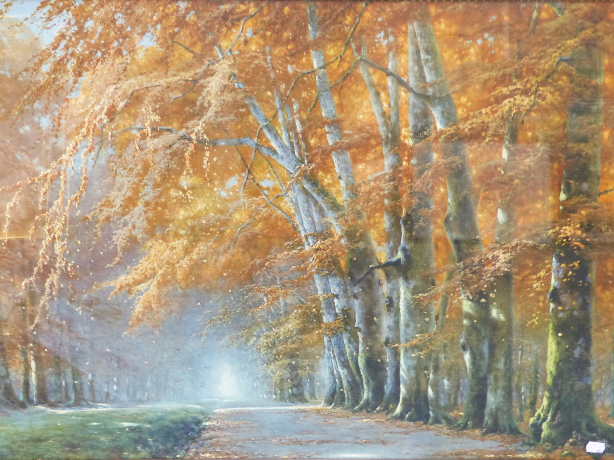 A LARGE GILT FRAMED COLOUR PICTURE OF A WOODLAND VIEW, 65 x 94cms.