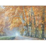 A LARGE GILT FRAMED COLOUR PICTURE OF A WOODLAND VIEW, 65 x 94cms.