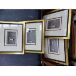 A GROUP OF ANTIQUE AND LATER DECORATIVE PICTURES, INCLUDING FENCING SCENES, SPORTING SUBJECTS, BIRDS