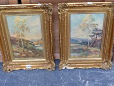 A PAIR OF GILT FRAMED DECORATIVE LANDSCAPE PICTURES