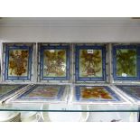 TEN LEADED GLASS PANELS OF FRUIT AND FLOWERS, EACH. 23 x 18.5cms.