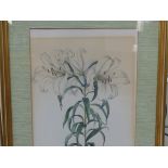 A PAIR OF BOTANICAL PRINTS TOGETHER WITH OTHER FLORAL PICTURES AND A 20th CENTURY COASTAL