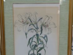 A PAIR OF BOTANICAL PRINTS TOGETHER WITH OTHER FLORAL PICTURES AND A 20th CENTURY COASTAL