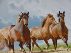 DARREN BAKER (CONTEMPORARY ) ARR. RACING STALLION DREAM, SIGNED, OIL ON CANVAS. GALLERY LABEL VERSO.