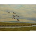 GEOFFERY CAMPBELL-BLACK (20th C.) ARR. GEESE, SIGNED OIL ON CANVAS 46 x 56cms