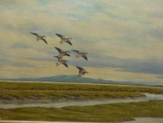 GEOFFERY CAMPBELL-BLACK (20th C.) ARR. GEESE, SIGNED OIL ON CANVAS 46 x 56cms