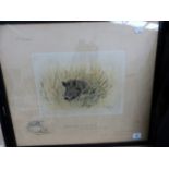 SNAFFLES, CHARLES JOHNSON PAYNE (1884-1967) A PENCIL SIGNED COLOUR PRINT OF A WILD BOAR. 43 x 51cms