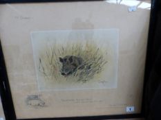 SNAFFLES, CHARLES JOHNSON PAYNE (1884-1967) A PENCIL SIGNED COLOUR PRINT OF A WILD BOAR. 43 x 51cms