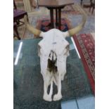 A LARGE COW SKULL.