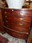 A LATE GEORGIAN MAHOGANY BOW FRONT TALL CHEST OF TWO SHORT AND THREE LONG DRAWERS.