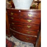 A LATE GEORGIAN MAHOGANY BOW FRONT TALL CHEST OF TWO SHORT AND THREE LONG DRAWERS.