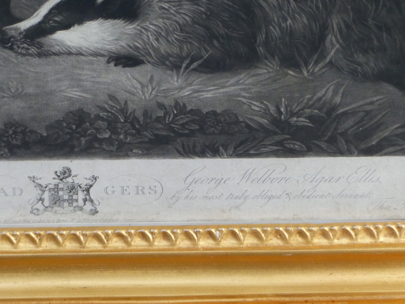 AFTER THOMAS BENNETT AN ANTIQUE MEZZOTINT OF BADGERS, PERIOD GILT FRAME 42 x 51cms - Image 4 of 18