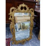 A GILT FRAMED MIRROR IN THE ROCOCO TASTE.