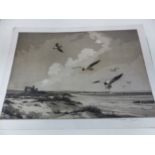 A GROUP OF COLOUR ETCHINGS OF BIRDS. MOST UNMOUNTED AND UNFRAMED INCLUDING AN ANTIQUE HAND