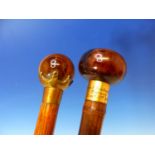 A WALKING CANE WITH TIGERS EYE BALL HANDLE TOGETHER WITH A BRIGG WALKING CANE WITH TORTOISHELL BUN