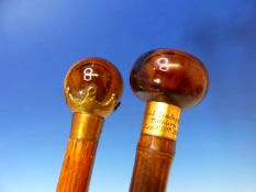 A WALKING CANE WITH TIGERS EYE BALL HANDLE TOGETHER WITH A BRIGG WALKING CANE WITH TORTOISHELL BUN