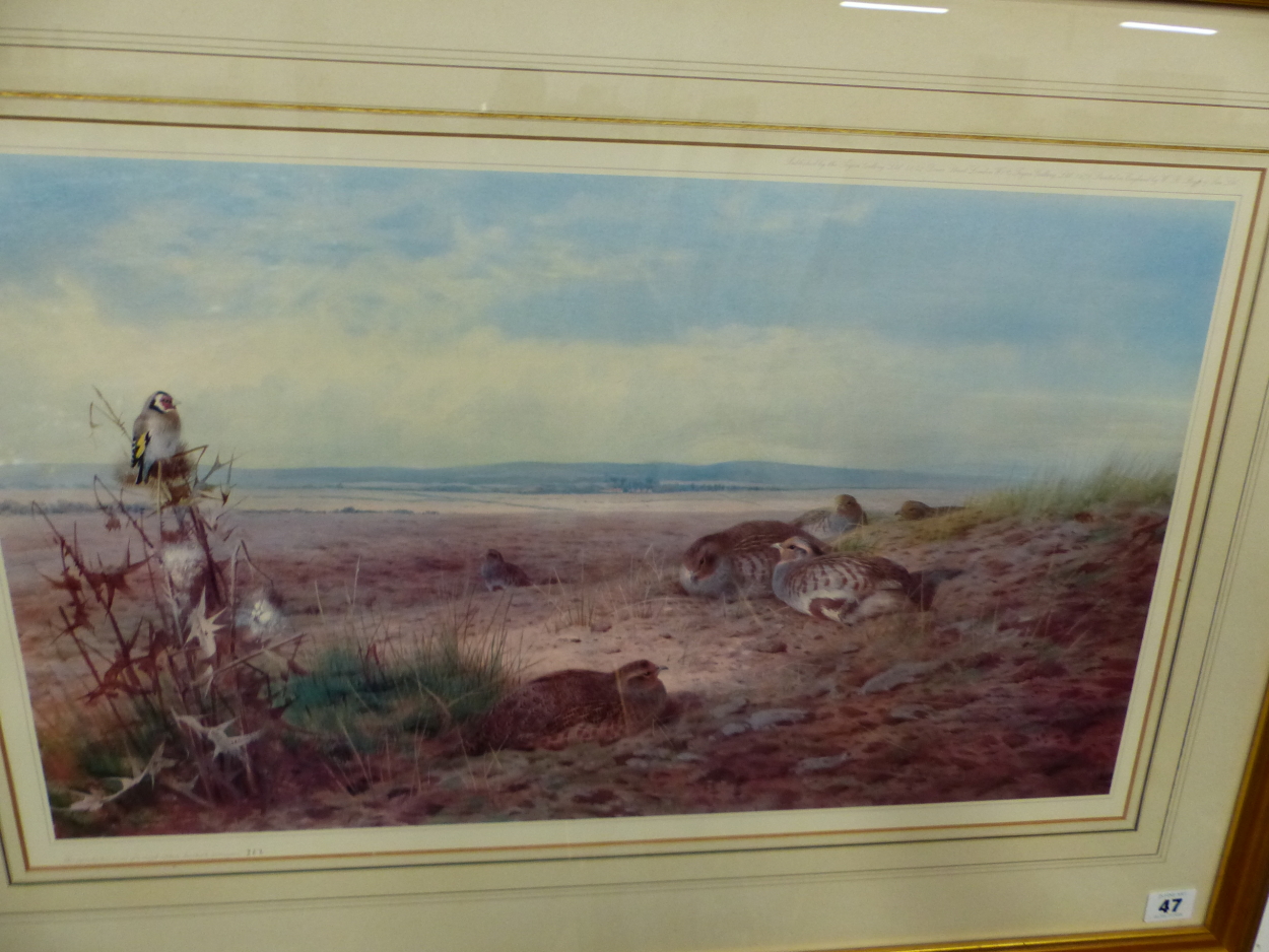 A LIMITED EDITION COLOUR PRINT, AFTER ARCHIBALD THORBURN, GALLERY LABEL VERSO 36 x 60cms